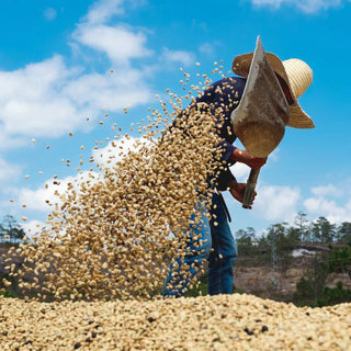 Farmers Direct - een gezonde toekomst voor koffie