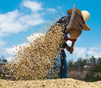 Farmers Direct - een gezonde toekomst voor koffie